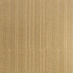 Tecido Para Cortina America Chefron liso Bege Claro - Largura 2,90m