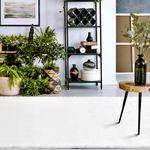 Tapete-para-sala-e-quarto-Aconchego-01-01