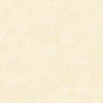 Papel-de-Parede-Colorkey-COL1029