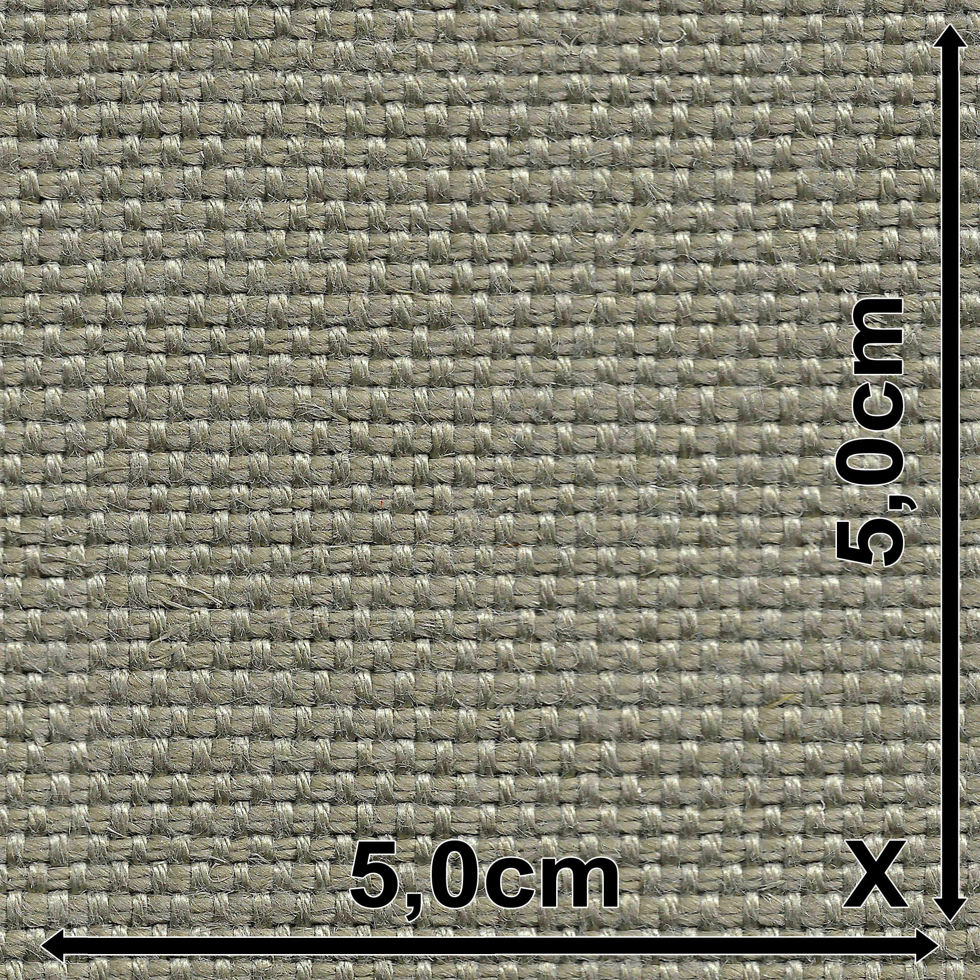Slide 7