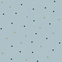 Papel de Parede Infantil Estrelinhas Azul Fofura Baby FF4046- Rolo Fechado com 0,53cm x 10mts