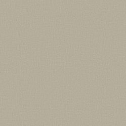 Papel De Parede Avalon 02 Textura Bege Escuro - Ava -221  Rolo de 53cm x 10Mts