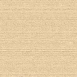 Papel de Parede Texture II Linho TX-2009 - Rolo Fechado de 0,53cm x 10mts