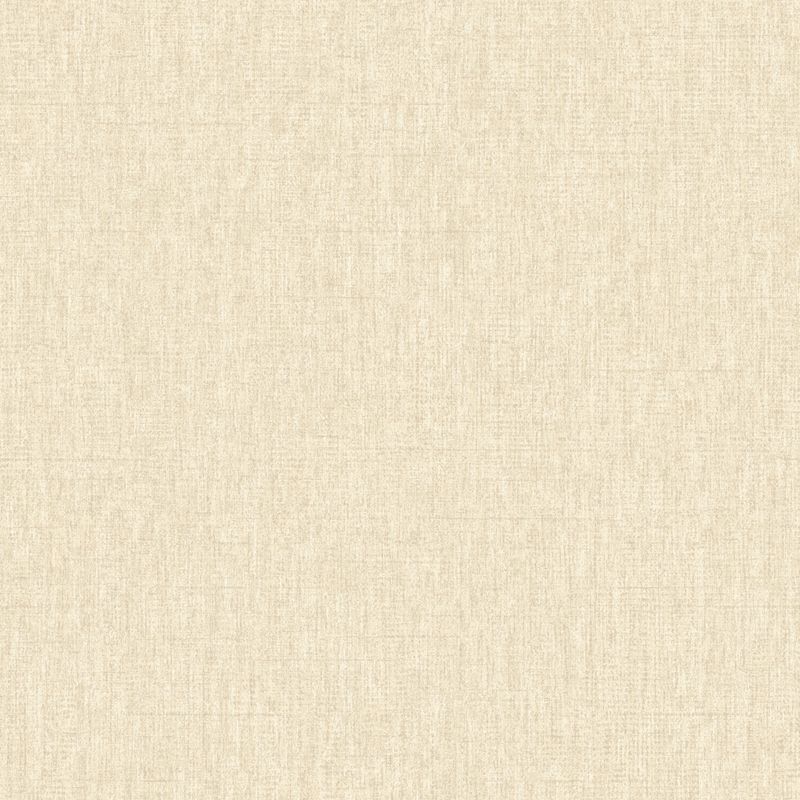 PapeldeParedeTextureII-Texture2020-1