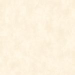 PapeldeParedeTextureII-Texture2042-1