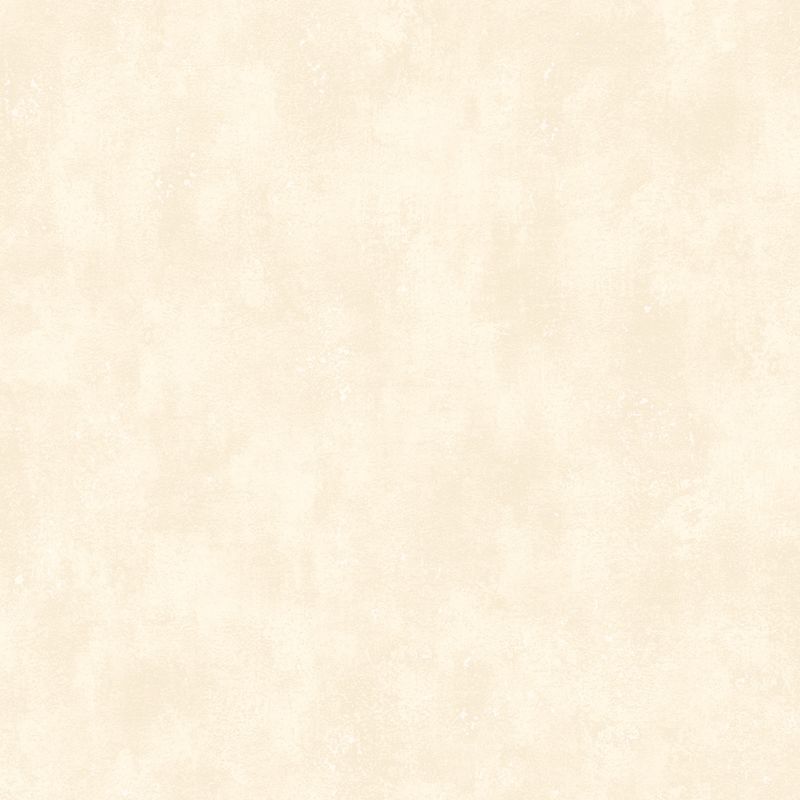 PapeldeParedeTextureII-Texture2042-1