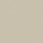 PapeldeParedeTextureII-Texture2050-1