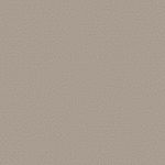 PapeldeParedeTextureII-Texture2051-1
