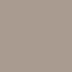 PapeldeParedeTextureII-Texture2051-1