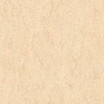 PapeldeParedeTextureII-Texture2046-1