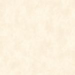 PapeldeParedeTextureII-Texture2042-1