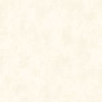 PapeldeParedeTextureII-Texture2041-1