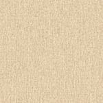 PapeldeParedeTextureII-Texture2021-1