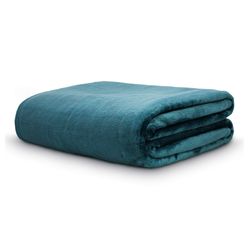 Cobertor Velour Casal 180X220 Verde 19-5030