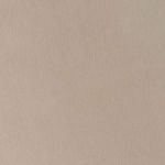 tecido-para-sofa-e-estofado-flora-03-creme-largura-1-40m-plano