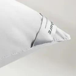 Travesseiro Plumi Gold 50cm X 70cm - Altenburg